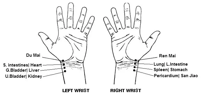 Why Do Practitioners Take Your Pulse?